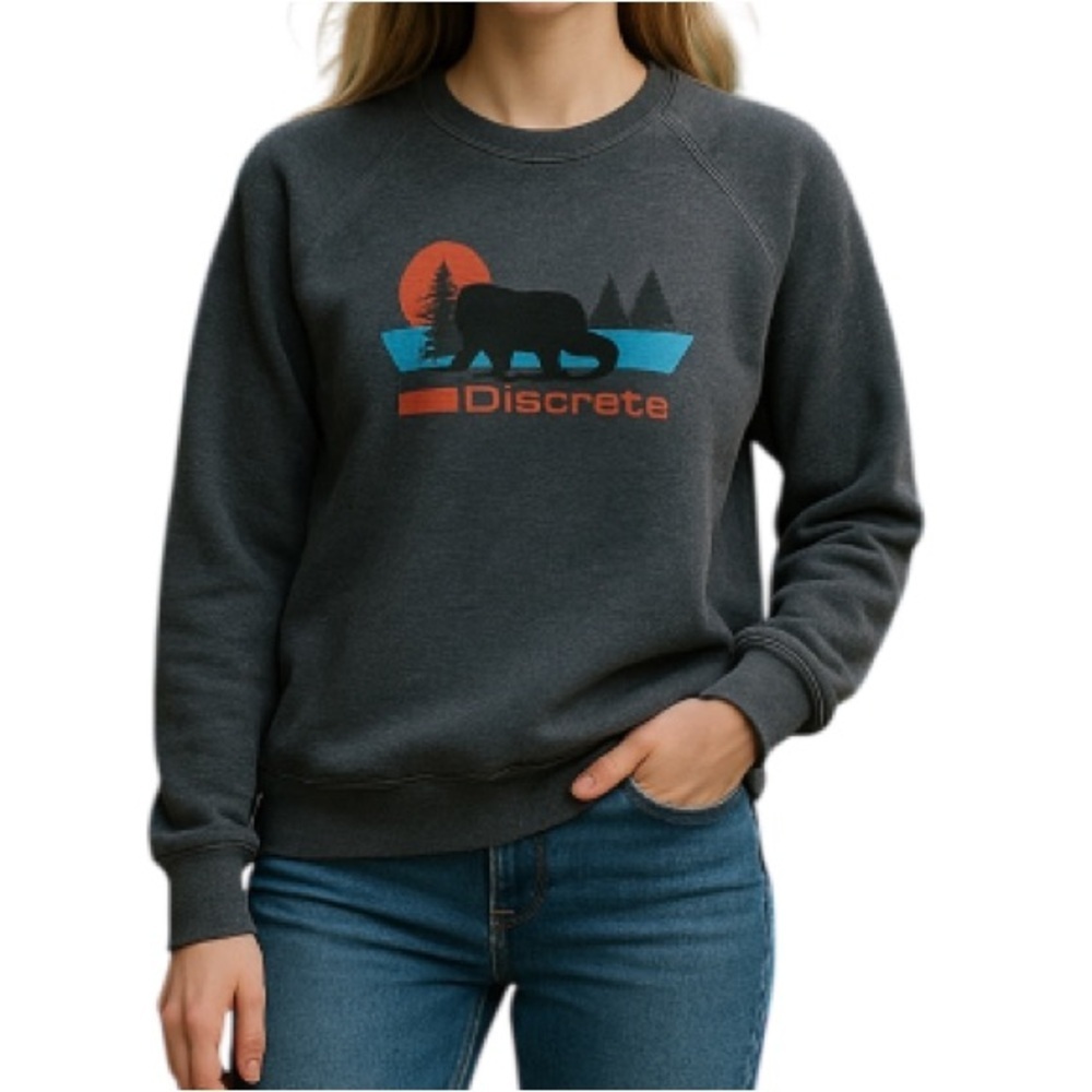 Discreet Charcoal Gray Bear Graphic Sweatshirt with Orange and Teal Accents